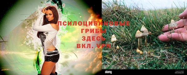 таблы Абаза